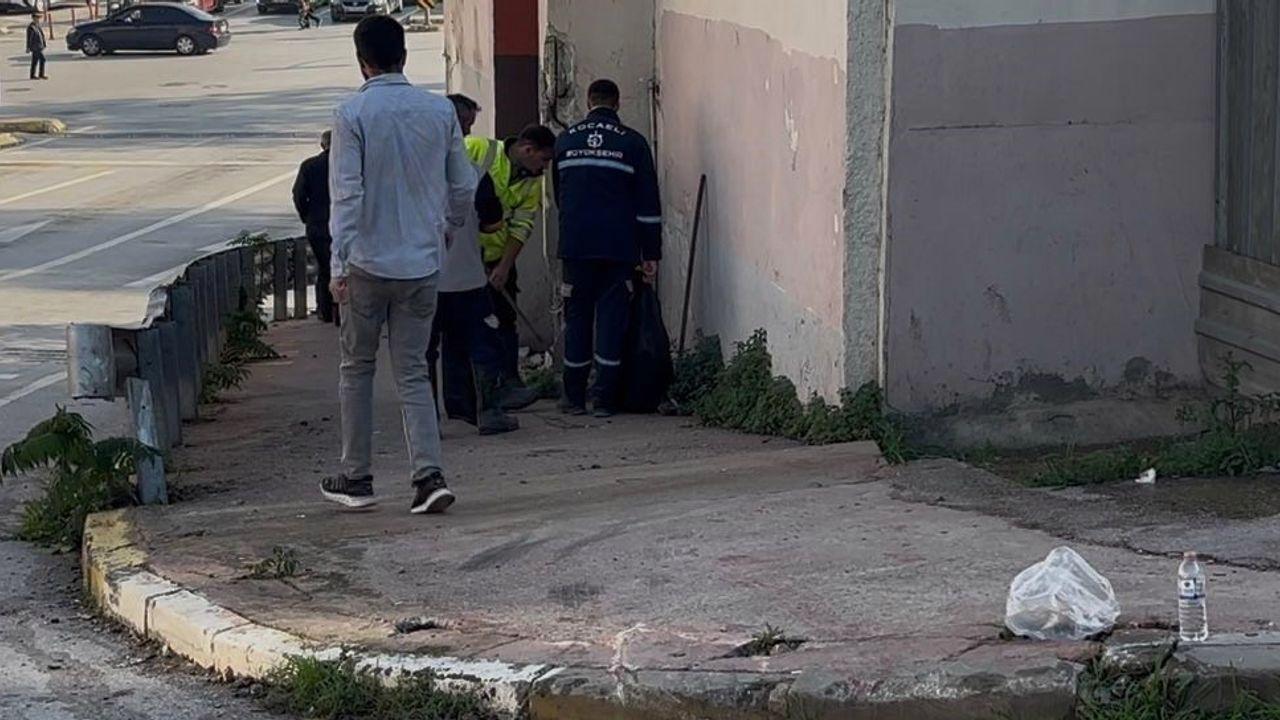 Kocaeli’de freni boşalan otobüs duvara çarptı: 3’ü polis 7 yaralı