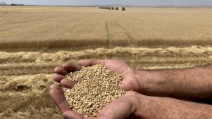 Bakan Yumaklı: Ülkemizin gıda ihtiyacında herhangi bir risk söz konusu değil