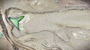 Bursa Barajları Kurudu, Çiftçiler Telaşlı