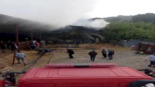 Bursa'da Ahır Yangını: 170 Küçükbaş Hayvan Telef