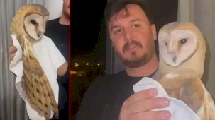 Bursa'daki eve davetsiz misafir