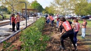 BUÜ’nün 50. Yıl Sokağı açılış hazırlıkları fidanlarla renklendirildi