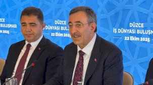 Cevdet Yılmaz: TL'ye olan güven artmış durumda