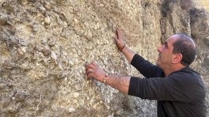 Erzurum'da 200 Milyon Yıllık Fosil Keşifleri