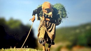 Eski CHP Gürsu İlçe Başkanı Kaya’dan Dünya Kadın Çiftçiler Günü bildirisi