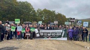 Gemlik Fevziye Köyünde ormanıma dokunma eylemi