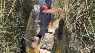 Göksu Deltası’nda mavi yengeç avcıları yakalandı