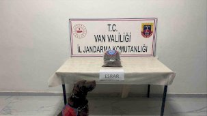 Hakkari’de kubar esrar ele geçirildi