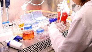 Hücreleri kandıran besin molekülleri keşfedildi