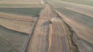 İthalat açıklaması bile arpanın ateşini düşürmedi