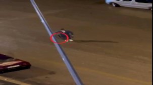 Kafede Tüfekle Hücum Teşebbüsü