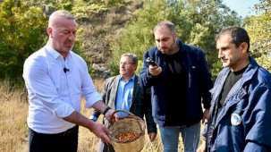 Karacabey Belediyesi, 'Alıç Meyvesi'ni dünya pazarında tanıtacak