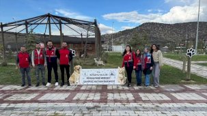 Kütahya'dan Sahipsiz Hayvanlara Mama Dayanağı