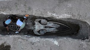 Mersin'de toprak altından çıkarılıyor! Tam 14 metre uzunluğunda