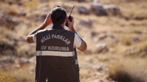 Milli Parklar Genel Müdürlüğü 240 sözleşmeli personel alacak