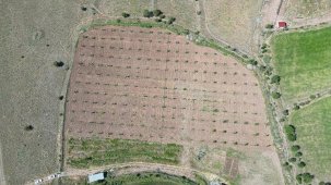 Mudanya’da ‘arsa satışı’ tartışması: AK Parti sert çıktı, Lider Dalgıç Bursa Saati'ne konuştu