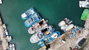 Ordu Balıkçıları İstavritle Dönüyor