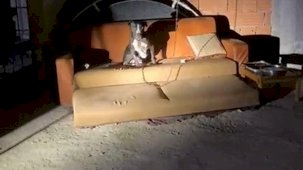 Panik yaşayan mahalle sakinleri konuştu