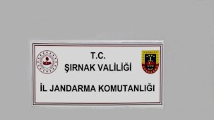 Şırnak’ta jandarmadan kaçakçılık operasyonu: 1 tutuklama