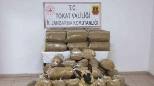 Tokat’ta 340 kilo kaçak tütün ele geçirildi
