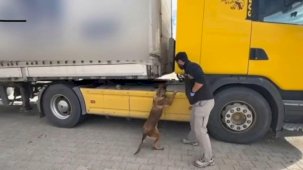 Tosya’da tıra zulalanmış uyuşturucu ele geçirildi: 1 tutuklama