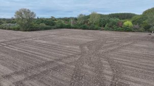 Trakya'nın Yağmurları Çiftçiyi Sevindiriyor