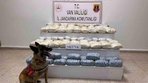 Van’da 47 kilo skunk ele geçirildi