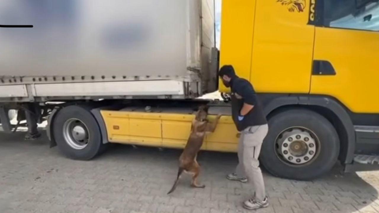Tosya’da tıra zulalanmış uyuşturucu ele geçirildi: 1 tutuklama