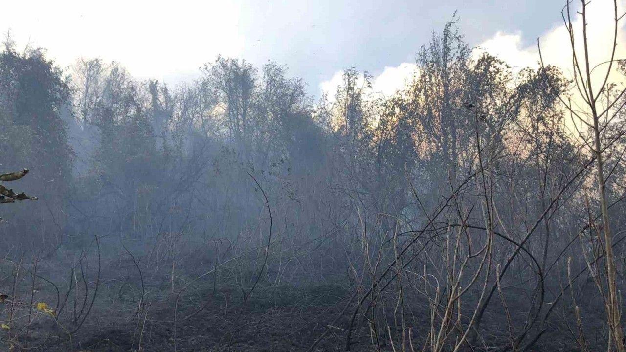 Artvin Hopa’da ziraat alanında çıkan yangın ormana sıçradı