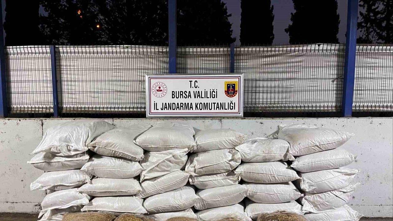 Bursa'da jandarmadan kaçak sigara operasyonu