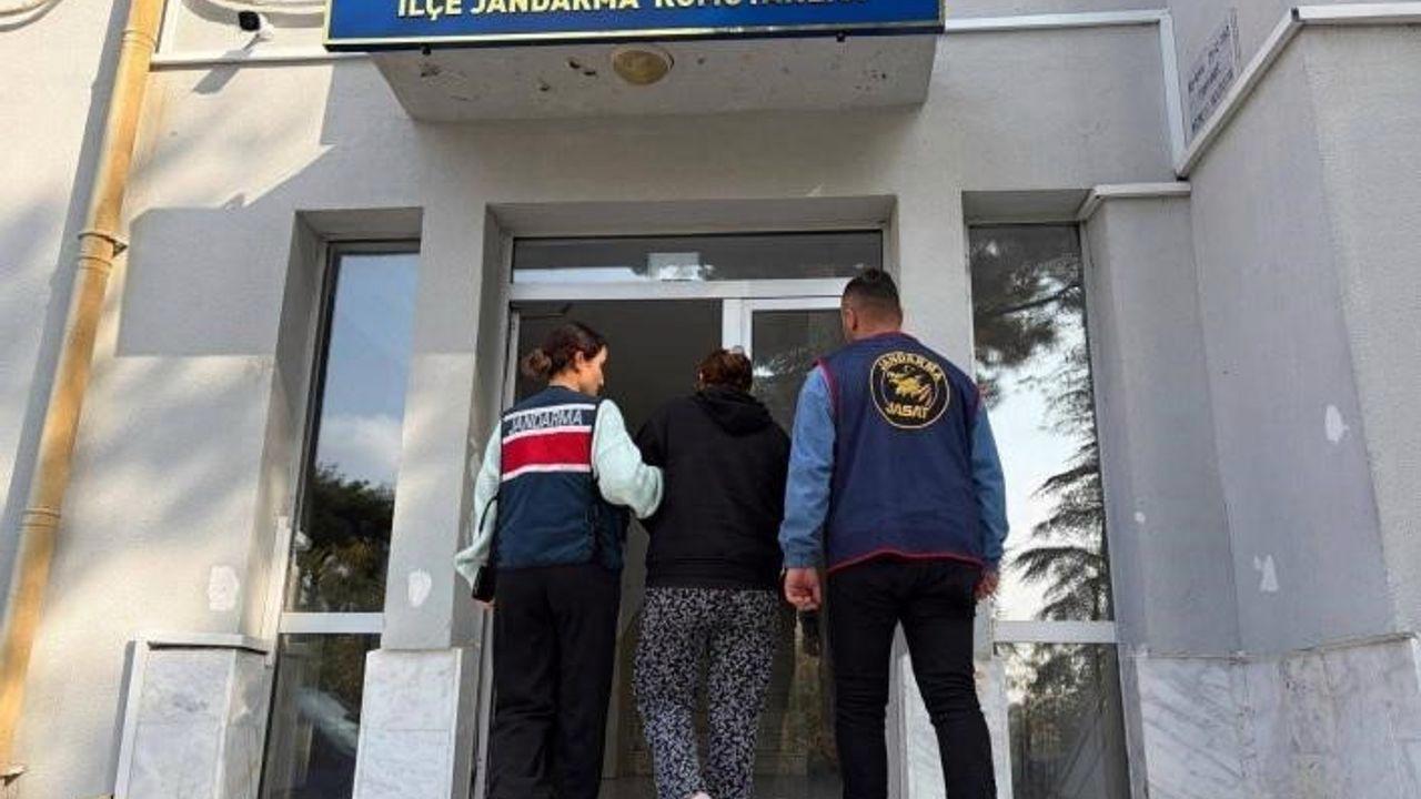 Çanakkale’de boş arazide bulunan bebek cesediyle ilgili 1 kişi gözaltına alındı