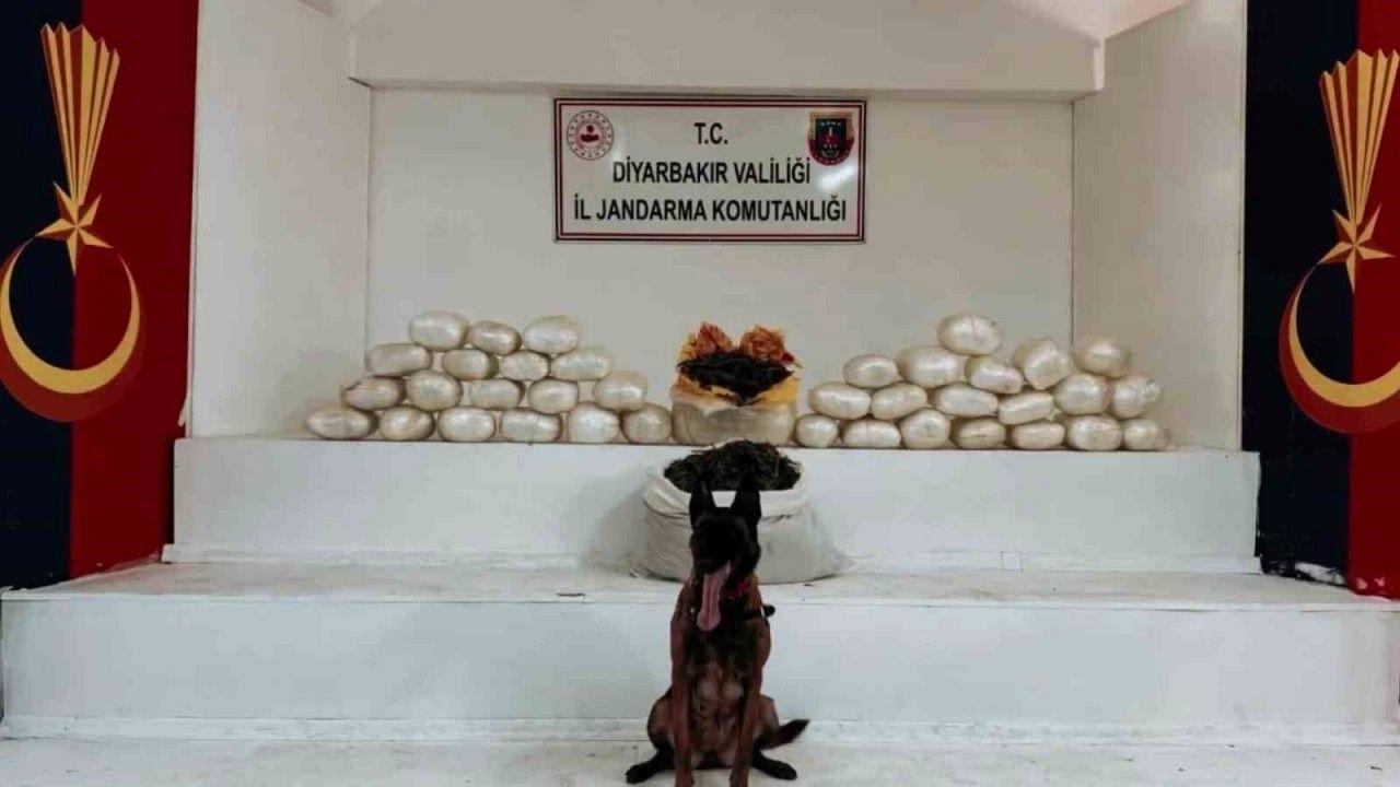 Diyarbakır’da 470 kilo skunk ve 85 kilo esrar ele geçirildi