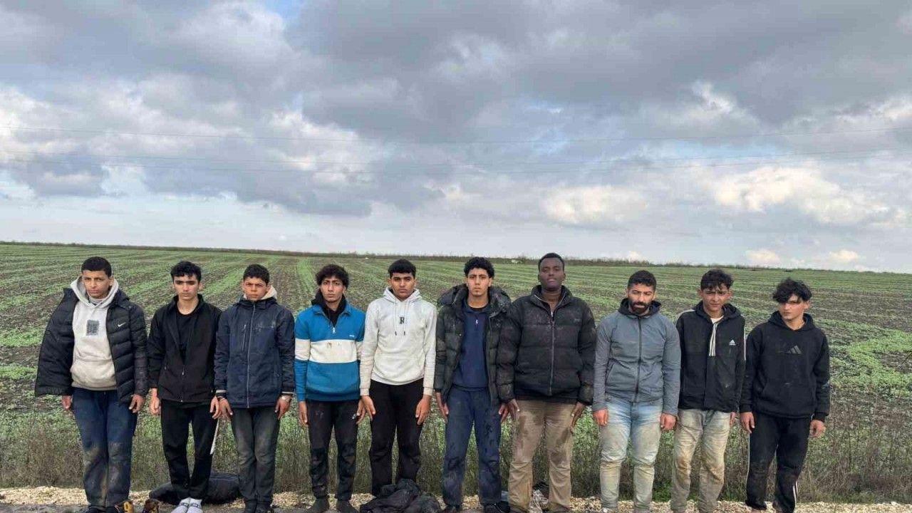 Edirne’de 10 düzensiz göçmen yakalandı