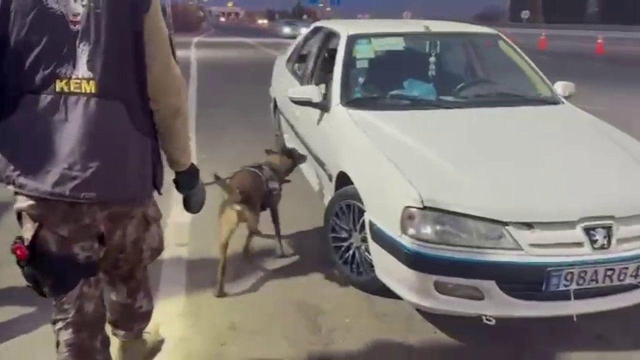 Erzurum’da araçta gizlenmiş uyuşturucuyu ’Magnum’ buldu