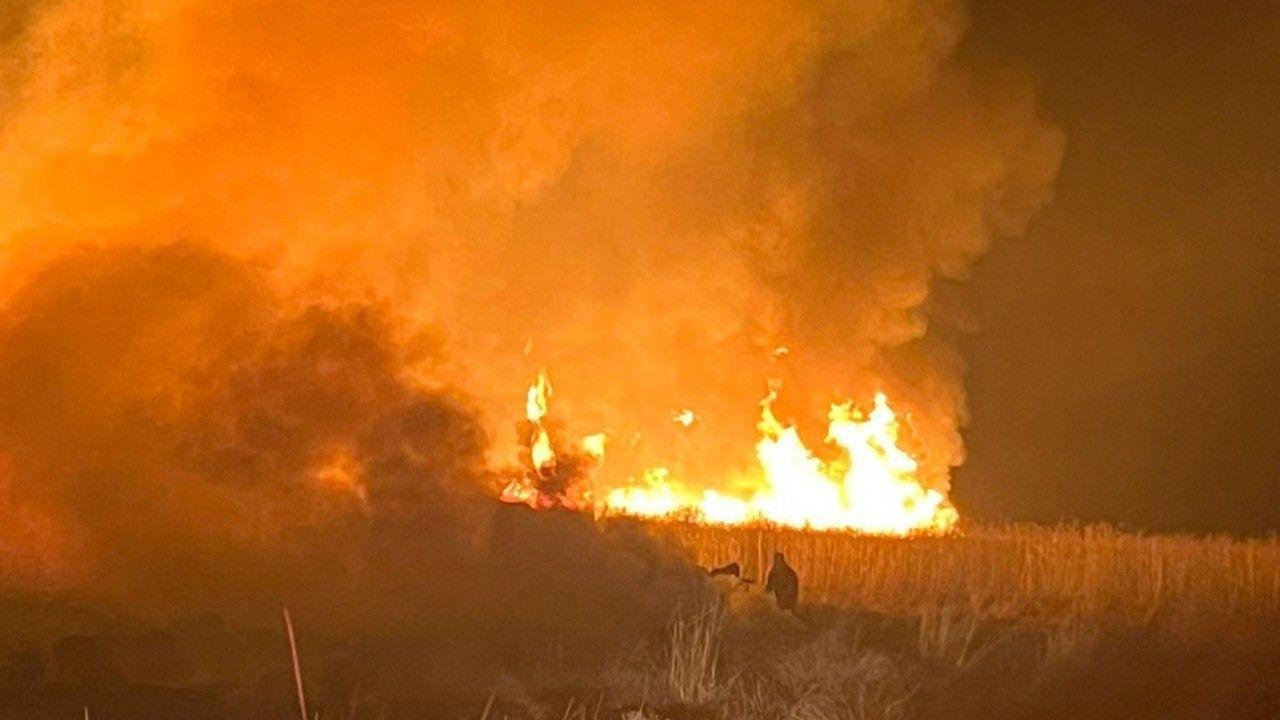 Hakkari’de kuş cennetinde yangın
