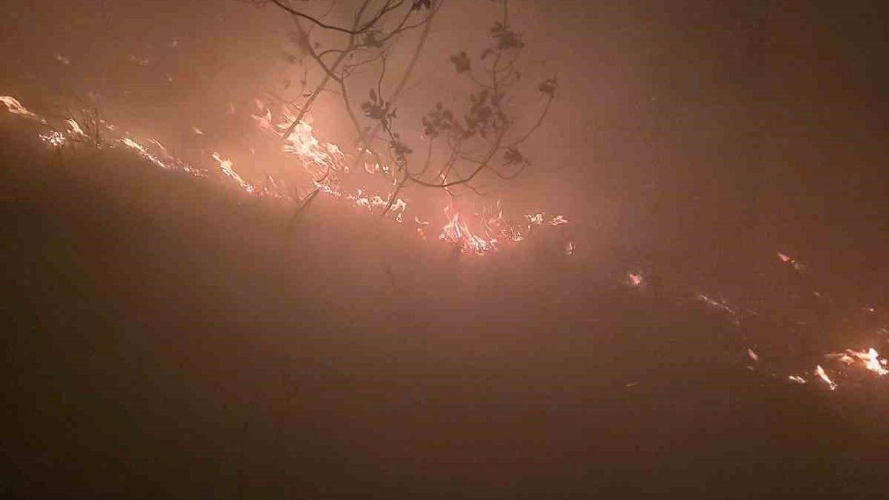 Hatay’da yıldırımın düştüğü ormanlık alanda yangın çıktı