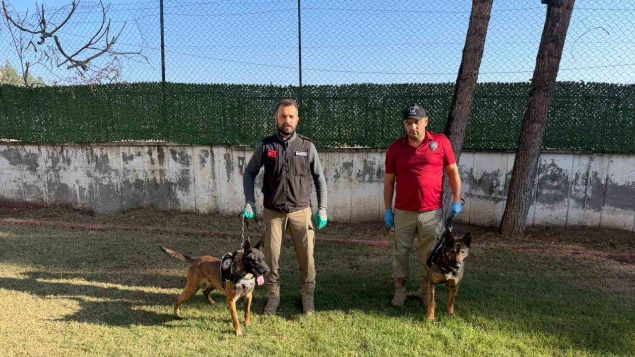 Hector ve Mailo, Batman’da uyuşturucu tacirlerinin korkulu rüyası oldu