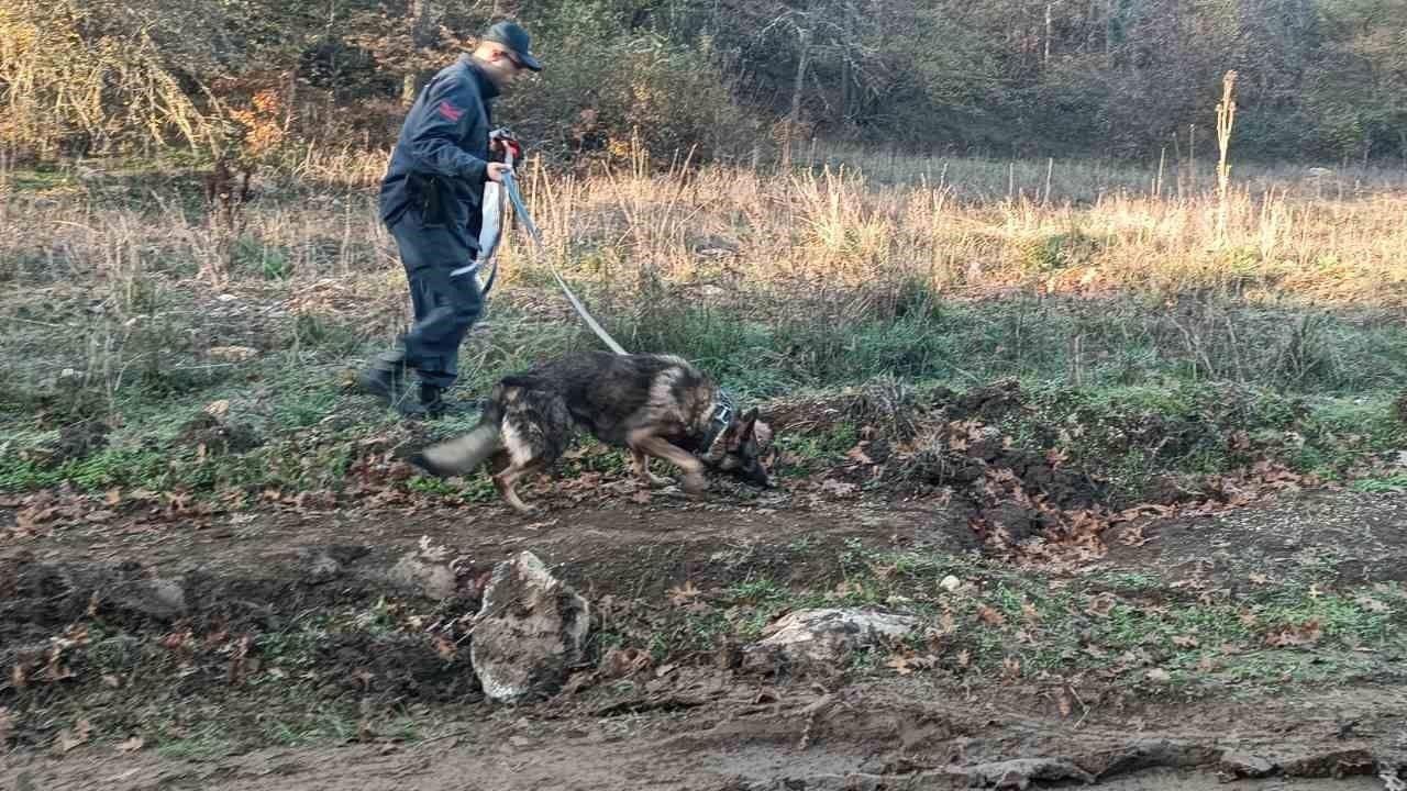 Mantar toplamak için gittiği ormanlık alanda kaybolan adamı 96 kişilik ekip arıyor