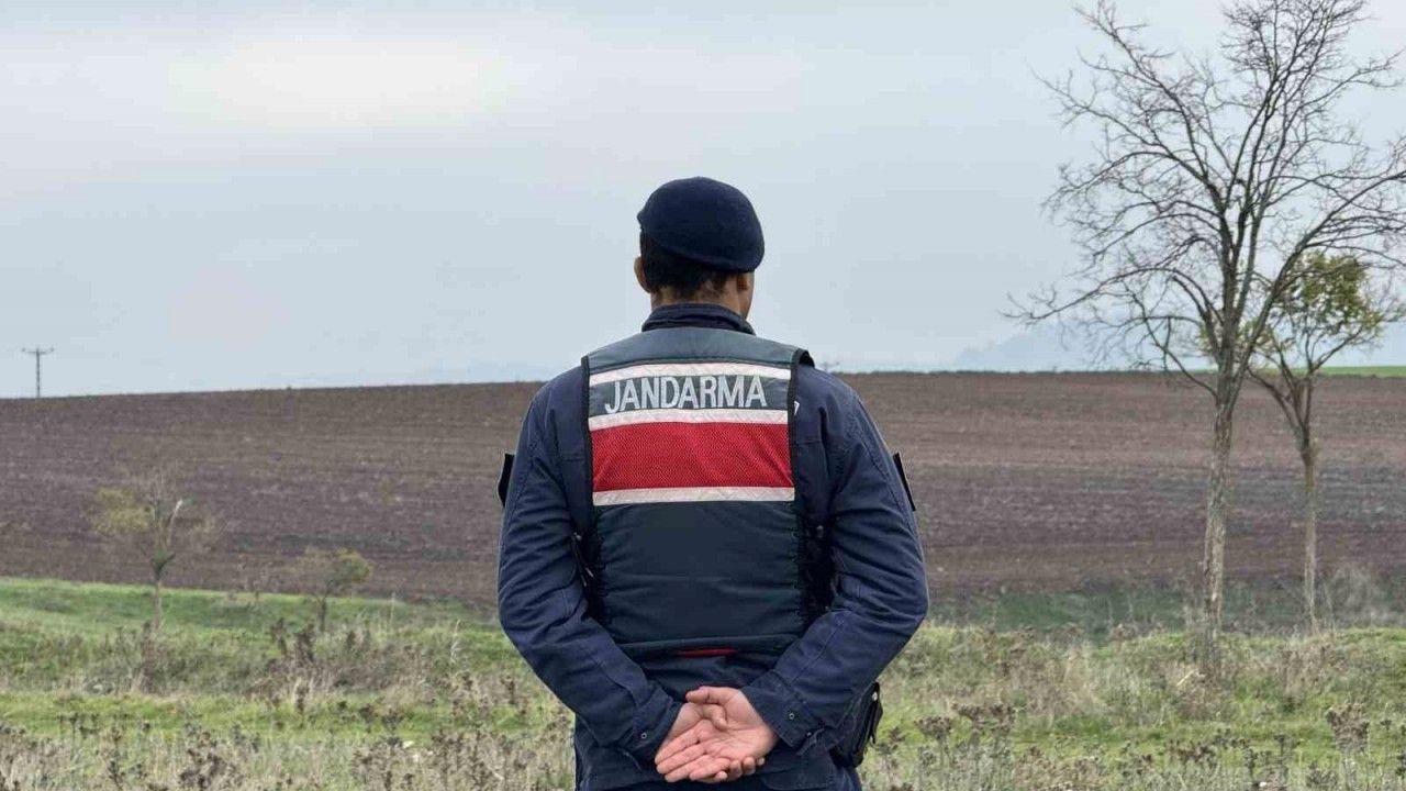 Mantar toplarken top mermisi buldular