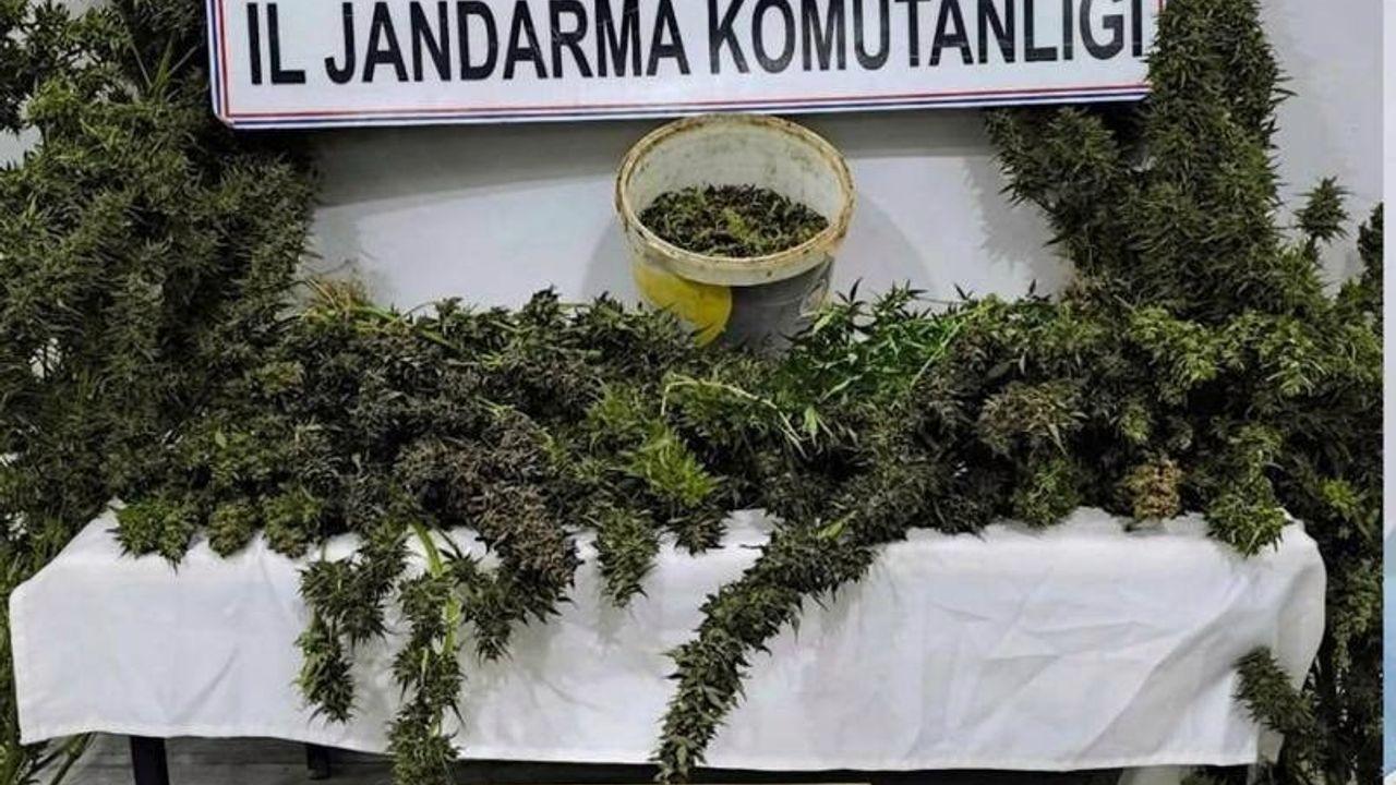 Mardin’de uyuşturucu operasyonunda 3 tutuklama