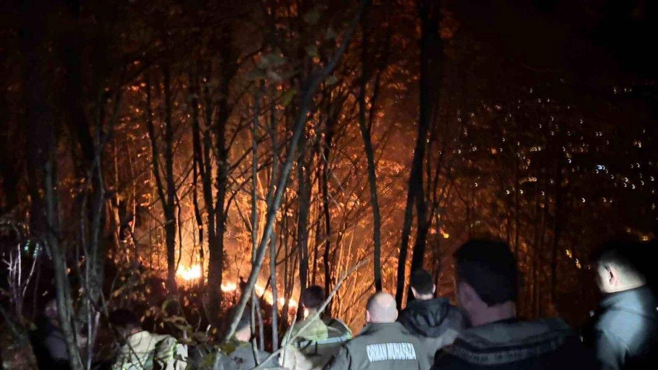 Ordu’da ormanlık alanda yangın