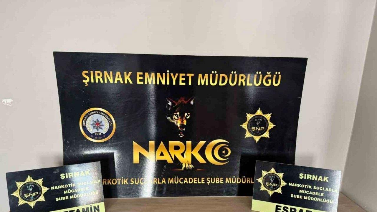 Şırnak’ta uyuşturucu operasyonu: 9 gözaltı