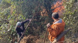 Artvin Hopa’da 5 hektarlık alanı küle çeviren yangınla mücadele sürüyor