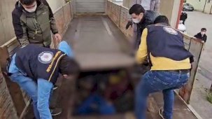 Bitlis’te 20 düzensiz göçmen yakalandı