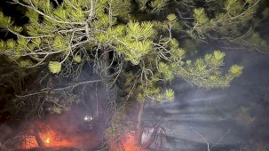 Bolu’da ormanlık alanda yangın çıktı