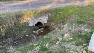 Boş arazide yenidoğan bebek cesedi bulundu