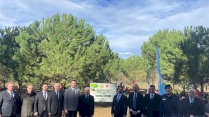 Bursa’da hatıra ormanına makamında şehit edilen Savcı Kiraz’ın ismi verildi