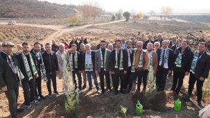 Bursaspor'dan yanan ormanlara fidan desteği