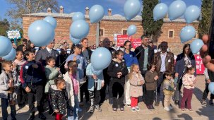 Diyabete karşı seferberlik