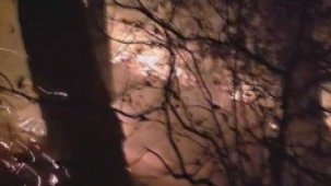 Hatay’da yıldırım düşmesiyle çıkan orman yangına müdahale devam ediyor